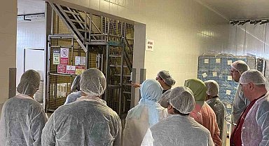 Akademi Öğretmenleri ayran fabrikasını inceledi