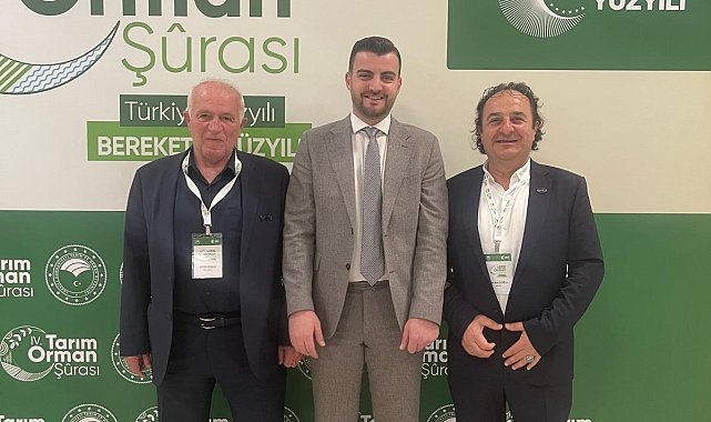 Ahşap palet sektöründen 18. madde çağrısı: "Palet havuzu modeli için hazırız"