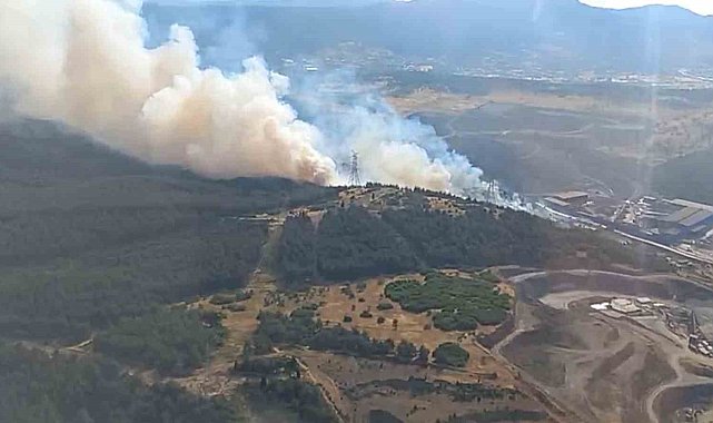 Aliağa'da orman yangını