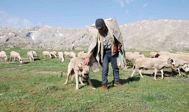 Antalya'da Yörüklerin yayla serüvenleri başladı