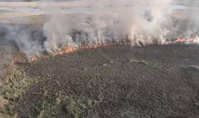 Arazide yakılan ateş yayıldı: 60 dönüm arazi zarar gördü
