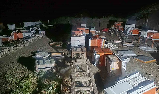 Arı kovanları cayır cayır yandı