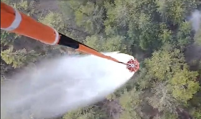 Aydın'daki orman yangını kontrol altına alındı