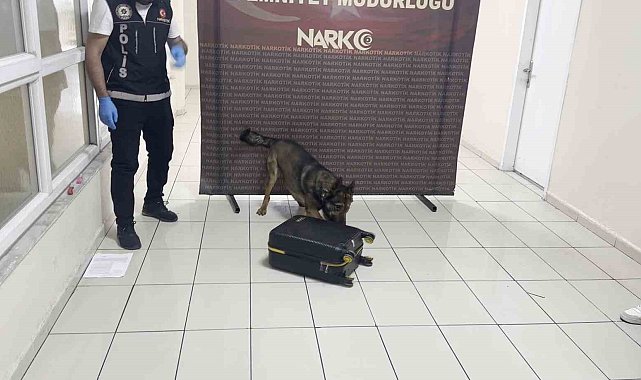 Batman'da uyuşturucu dolu valiz "Hektor"a takıldı