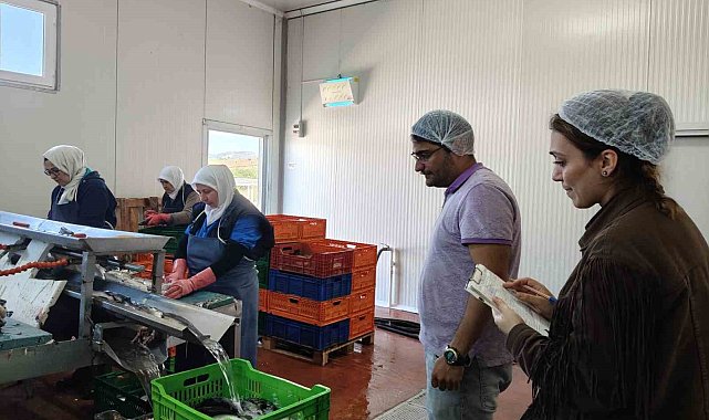 Beyşehir Gölüne kıyısı olan ilçedeki balık fabrikaları denetlendi