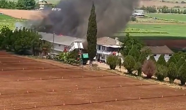 Bursa Yenişehir'de hayvan çiftliğinde büyük yangın
