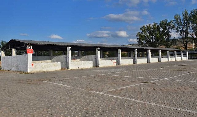 Bursa'nın Yenişehir ilçesinde şap karantinası
