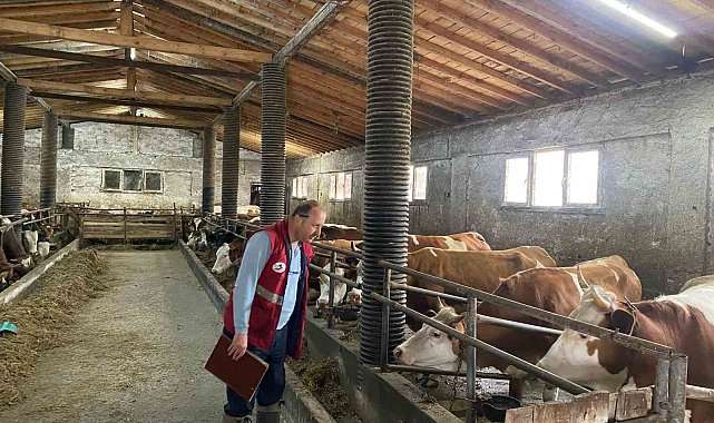 Çarşamba'da şap hastalığı taraması