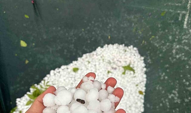 Elazığ'ın yüksek kesimlerinde dolu etkili oldu
