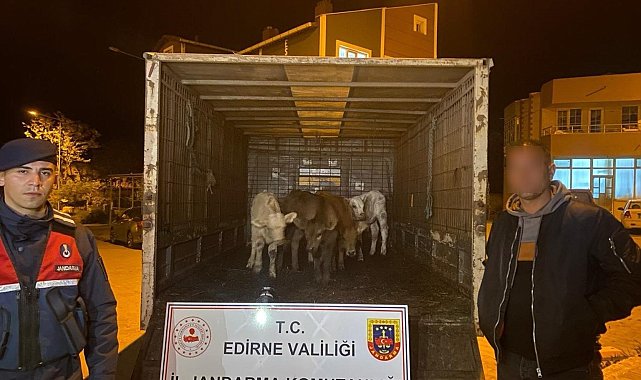Enez'de ağıldan 6 adet hayvan çalan şüpheliler yakalandı