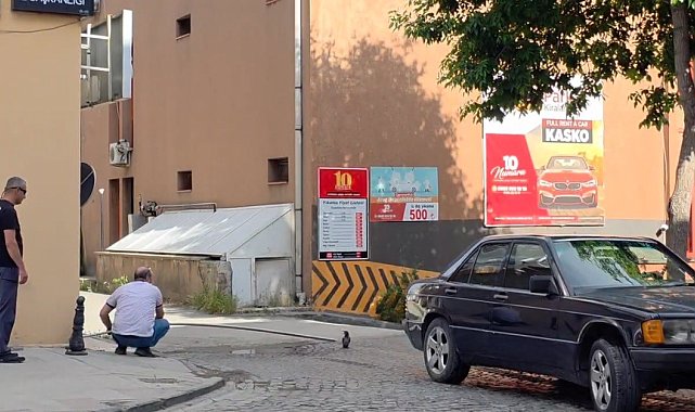 Erzincan'da yavru kargayı vatandaşlar kurtardı