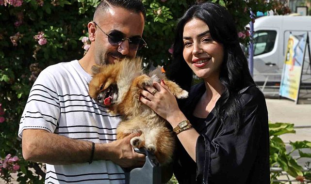 Güzellik yarışmasında birinci seçilip kaybolan köpek bulundu, sahipleri sevince boğuldu