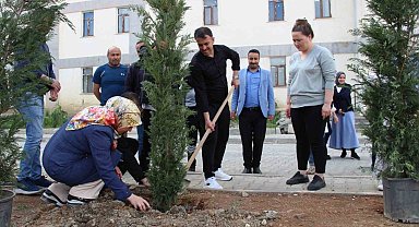 Hakkari'de fidan dikimi