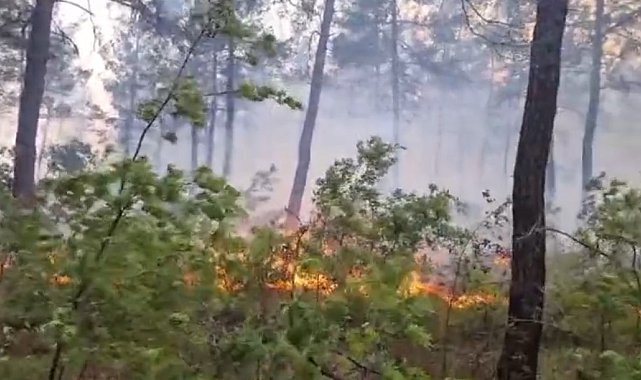Kale'deki orman yangını rüzgarla birlikte ilerliyor