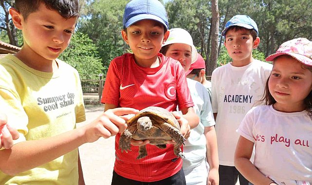 Kaplumbağaları inceleyip hem öğrendiler hem eğlendiler