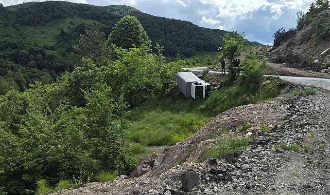 Karadeniz Ereğli'de kamyonet şarampole yuvarlandı