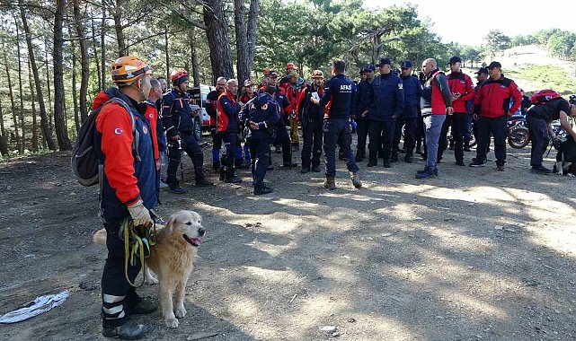 Kayıp Çevre, Şehircilik ve İklim Değişikliği İl Müdür Yardımcısını arama çalışmaları 120 kişilik ekiple devam ediyor