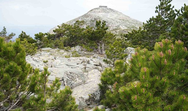 Kazdağları'nın zirvesi Sarıkız doğa severlerin ilgisini çekiyor