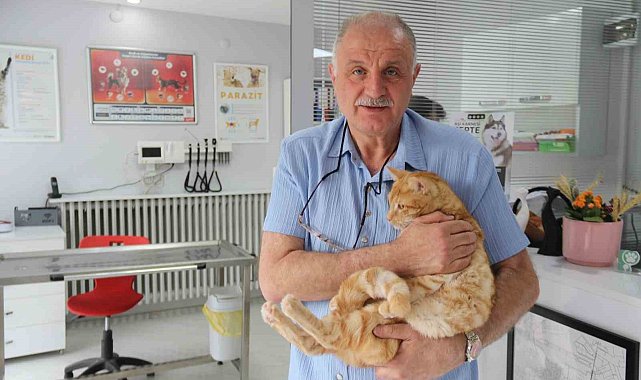 Kedisini veterinere yetiştirmeye çalışırken trafik cezası yedi, itiraz etti