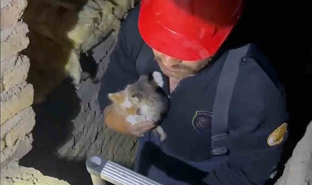 Kırıkkale'de havalandırma boşluğuna düşen yavru kediler kurtarıldı