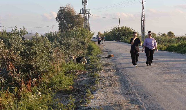 Kuduz karantinasının olduğu 4 mahallede sokak köpekleri vatandaşları tedirgin ediyor