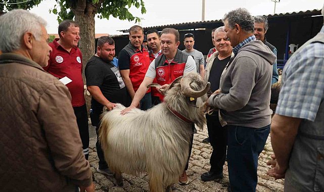 Kurban pazarlarında sağlık ve hijyen kontrolü
