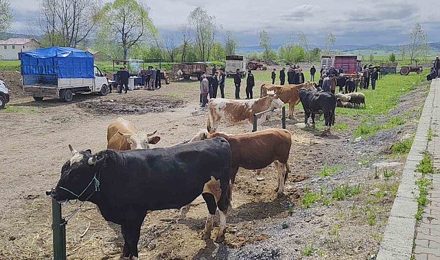 Kurbanlar pazara girdi