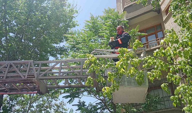 Malatya'da metruk evin penceresine sıkışan kedi itfaiye tarafından kurtarıldı