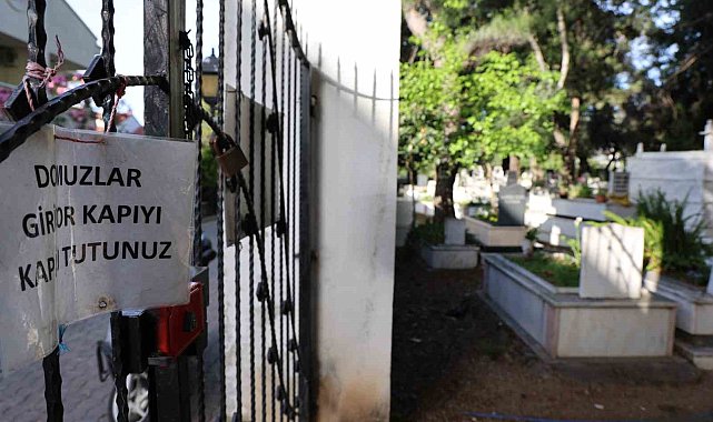 Marmaris'te vatandaşı canından bezdiren domuzlar, şimdi de mezarları tahrip etmeye başladı