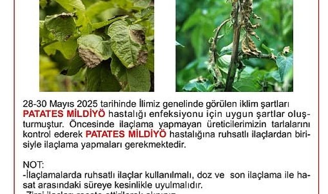 Niğde İl Tarım ve Orman Müdürlüğü'nden üreticilere mildiyö uyarısı