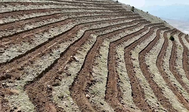 Niğde'nin Himmetli Köyü'nde 100 hektarlık alanda ağaçlandırma yapılacak