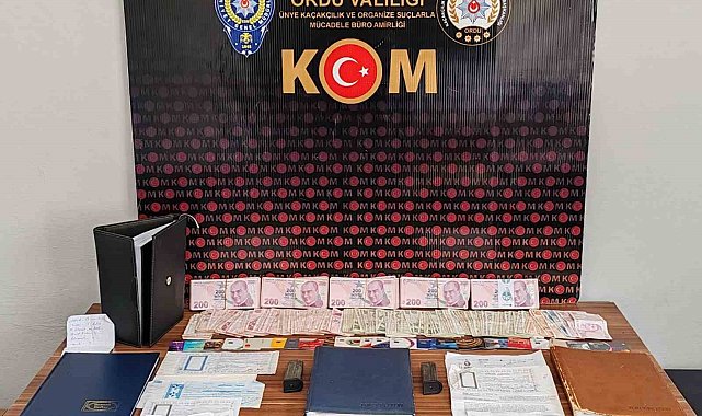 Ordu'da tefecilik operasyonunda 2 tutuklama