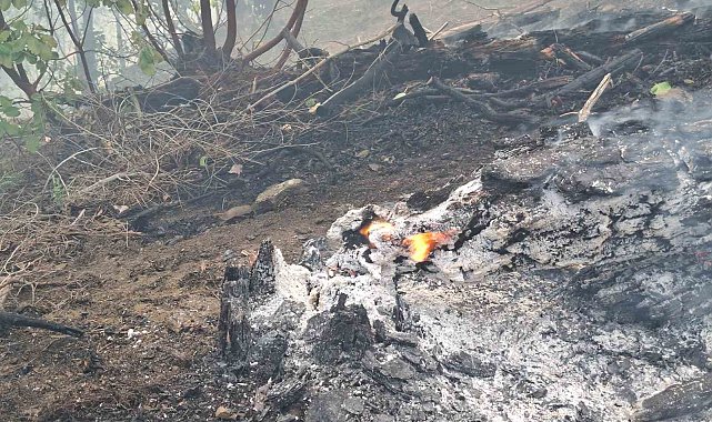 Orman yangını sürüyor: Ekipler 5 helikopter ve 110 personelle müdahale ediyor