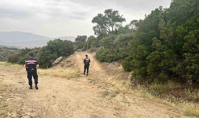Orman yangınlarına karşı denetimler sıklaştırıldı