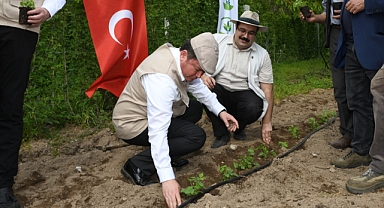 Osmangazi Belediyesi ahududu yetiştiriciliğine değer katıyor