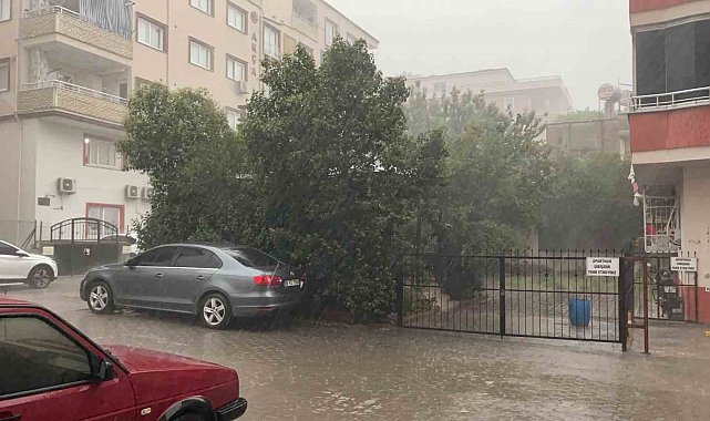 Osmaniye'de fırtına ağaçları kökünden söktü