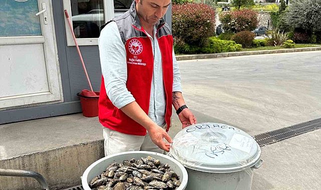 Otobüsün bagajında çöp kovasında taşınan 100 kilo midyeye el konuldu