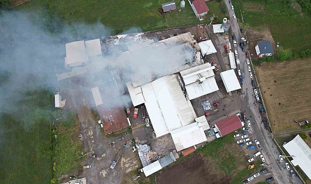 Sakarya'da fındık kırım fabrikasındaki yangın havadan görüntülendi