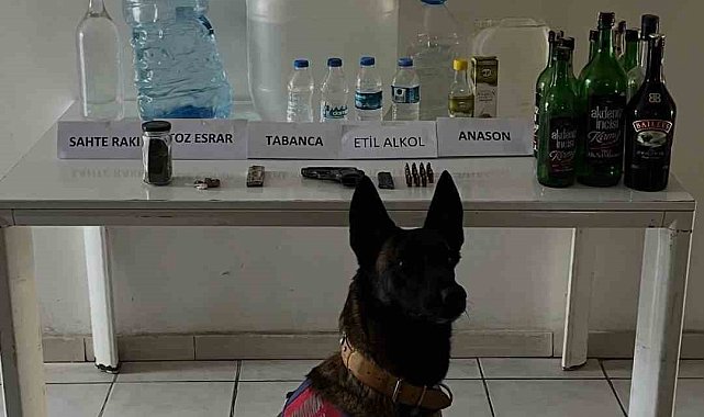 Samsun'da 65 litre etil alkol ele geçirildi