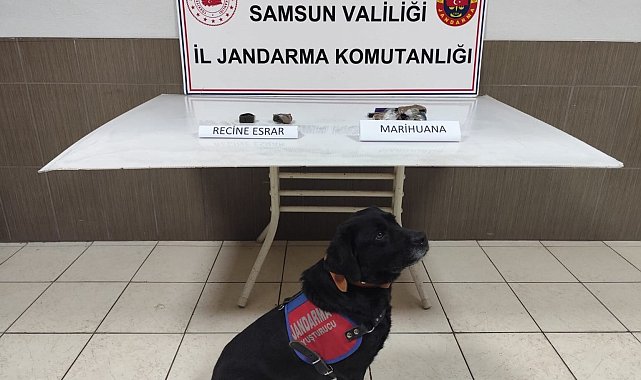 Samsun'da uyuşturucu operasyonu: 1 gözaltı