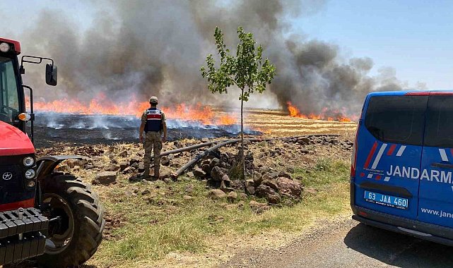 Şanlıurfa'da anız yakanlara para cezası ve adli işlem uygulanacak