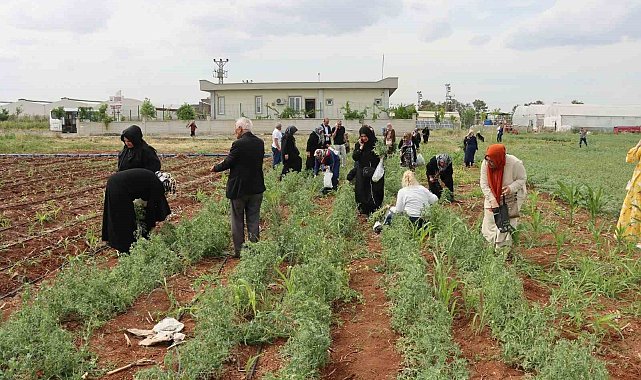 Şanlıurfa'da emekli kadınlara "süs bitkisi yetiştiriciliği eğitimi"