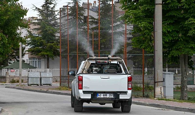 Selçuklu'da ilaçlama çalışmalar başladı