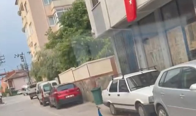 Sokak ortasında gezen tavus kuşu sürücülere ilginç anlar yaşattı