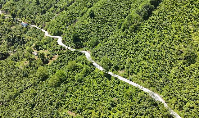 Terme'de beton yol çalışması