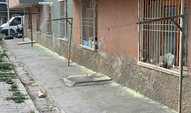 Tokat'ta iki kadının "fare kovma" yöntemi apartman sakinlerini hastanelik etti