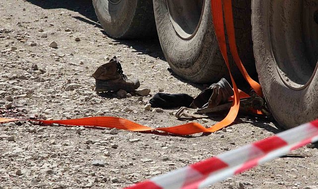 Tonlarca tomruk üzerine devrildi, hastanede hayatını kaybetti