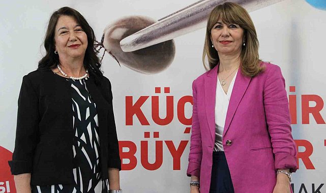 Uzmanından önemli uyarı: Keneyle ilgili doğru bilinen bu yanlışlar virüs riskini arttırıyor