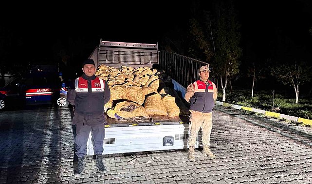 Van'da 3 ton 820 kilo kaçak avlanmış balık ele geçirildi