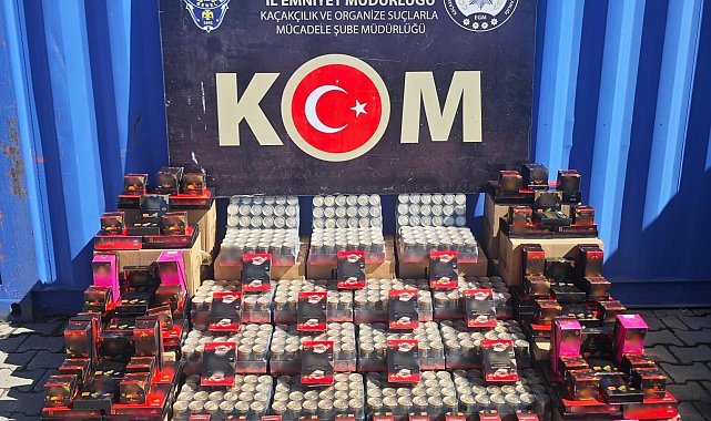 Van'da gümrük kaçakçılığı operasyonu